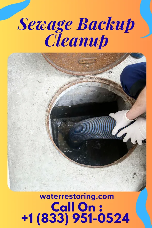 Sewage Backup Cleanup in Wartburg, TN