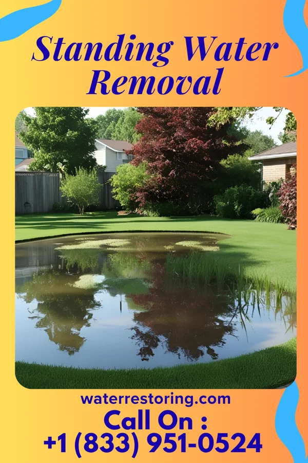 Standing Water Removal in Wartburg, TN